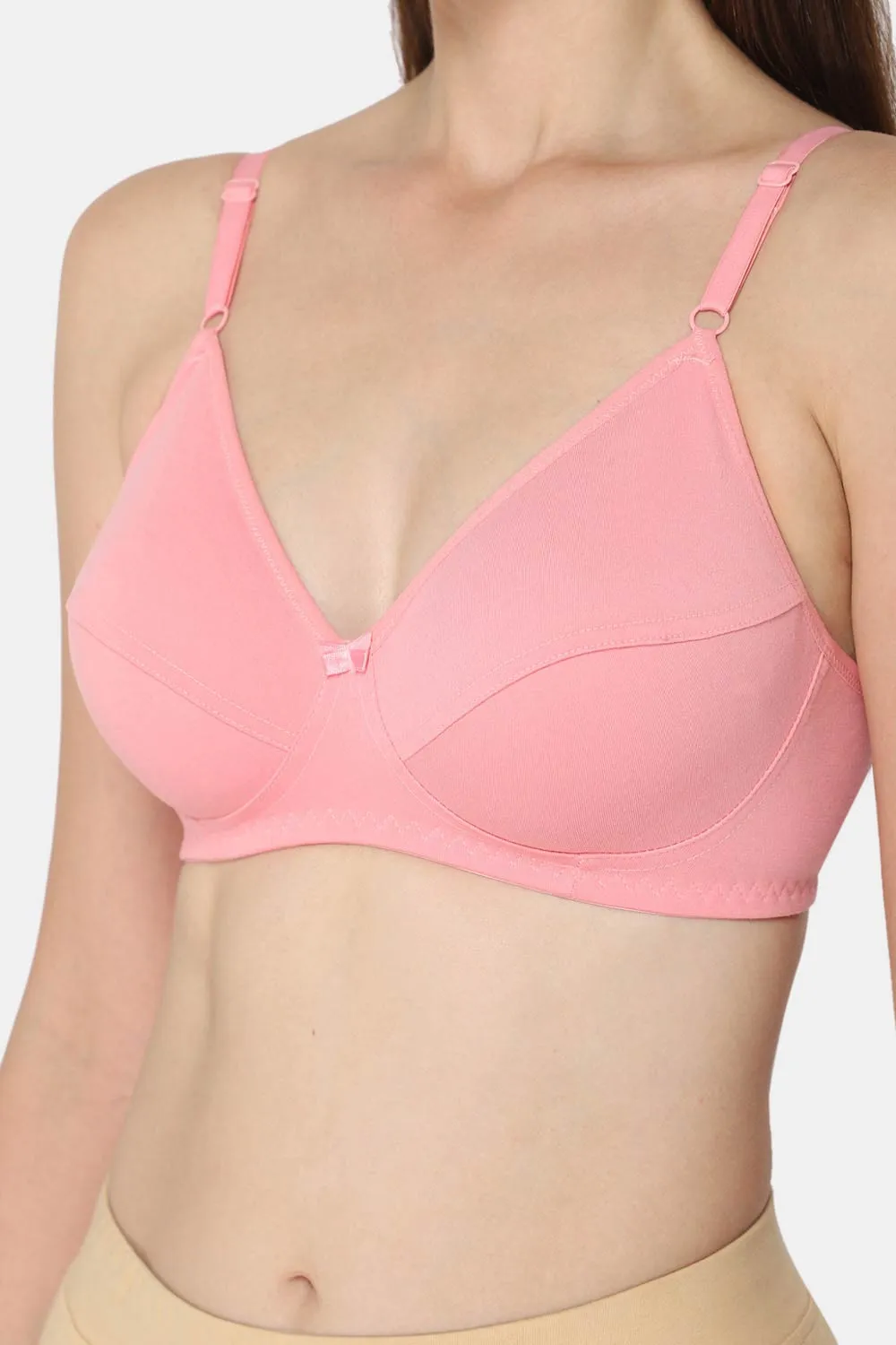 Intimacy Saree Bra Special Combo Pack – Elegant and Comfortable Bras for Saree Wear, Perfect Fit (INT05 - C39)